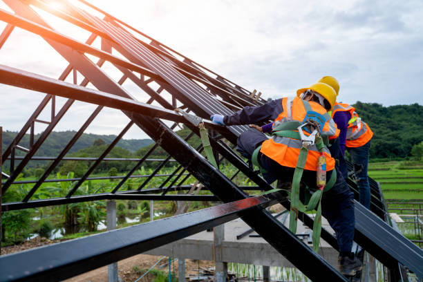 Best Roof Gutter Cleaning  in Green, OH